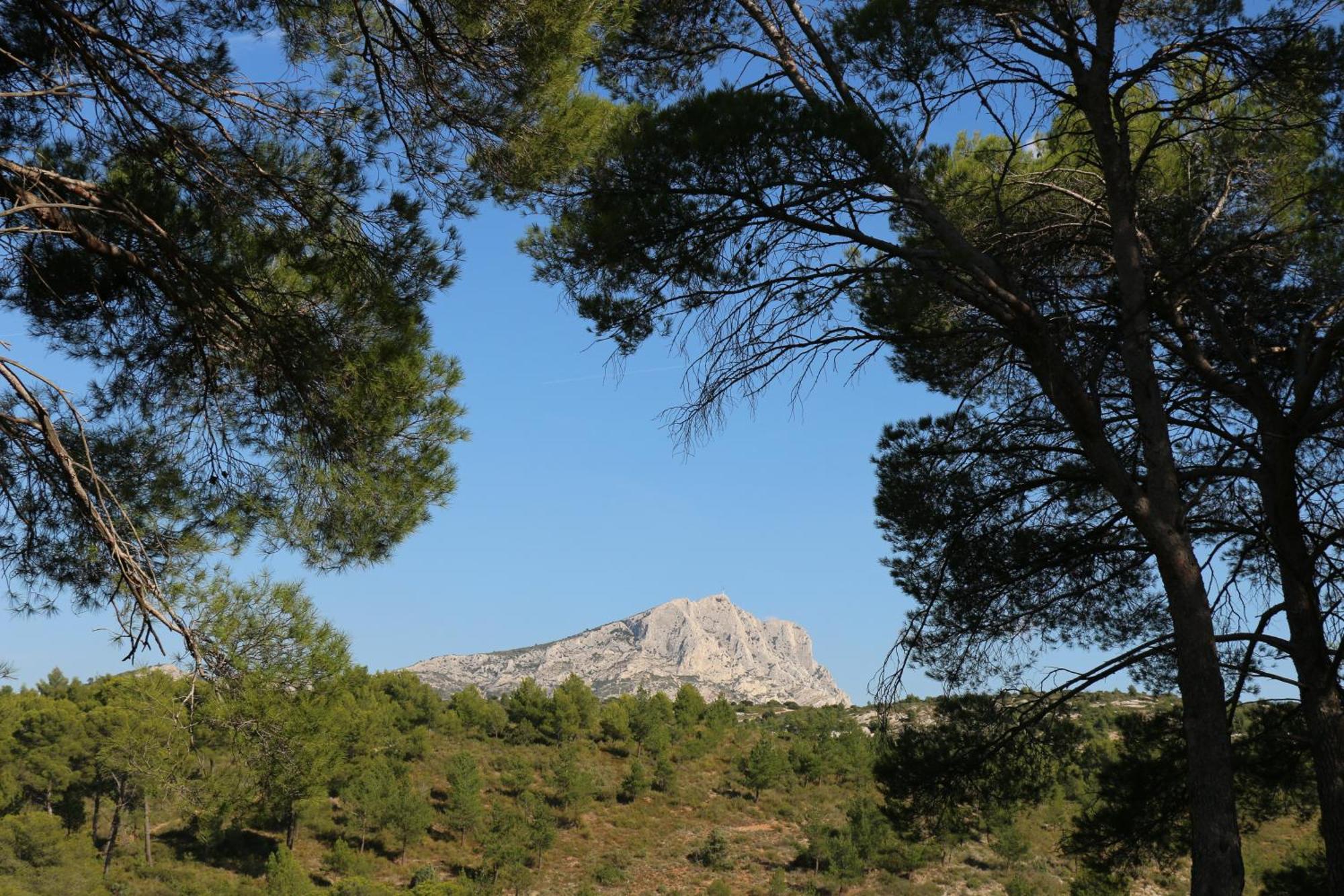 Studio Charmant Au Calme Lejlighed Aix-en-Provence Eksteriør billede